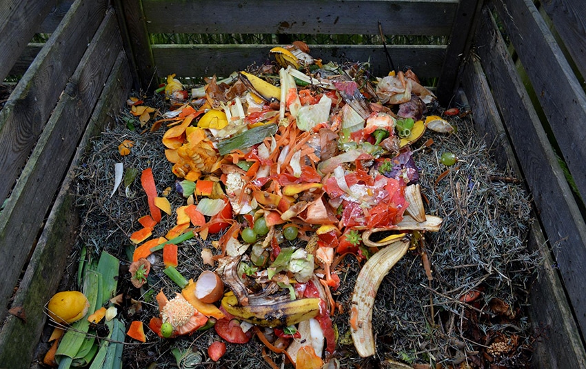 compost butte permaculture